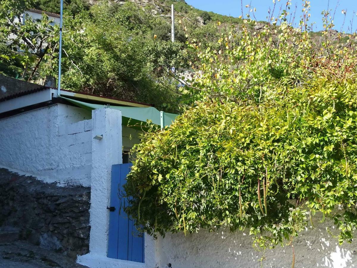 Casa Pentone Villa Cervione Exterior photo